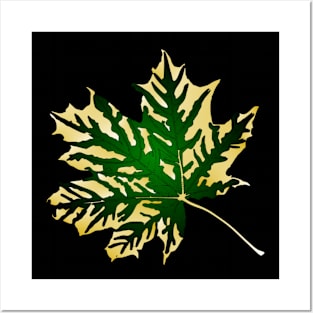 Maple leaf Posters and Art